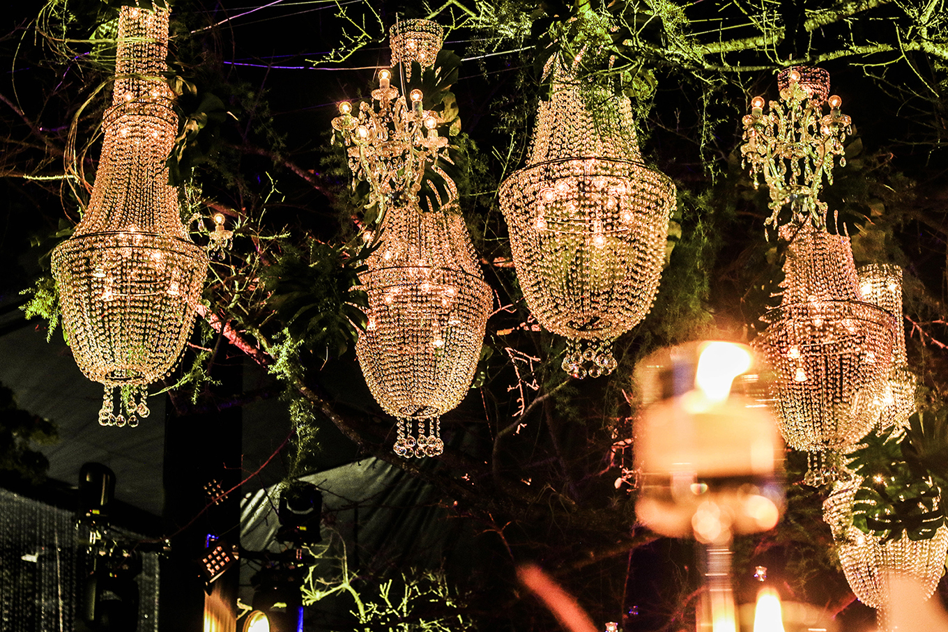 Fotografía de TROPICAL WEDDING de Local Trendy - 9375 