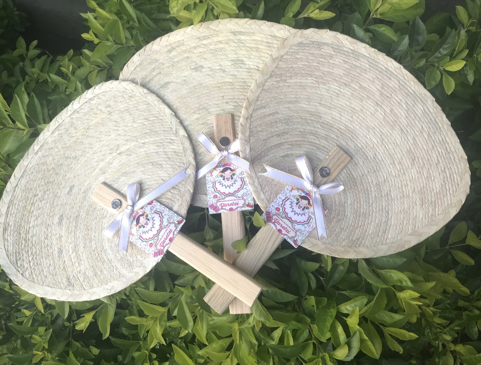 Fotografía de abanicos de palma  de Ideas para regalar - 11524 
