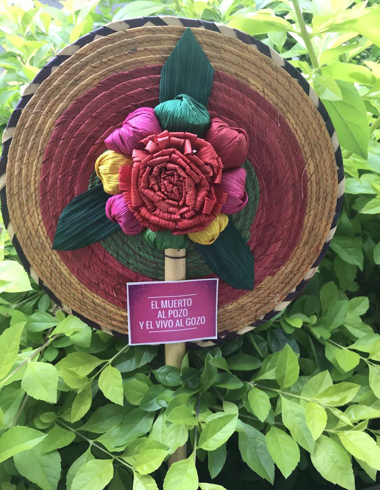 Fotografía de abanicos de palma  de Ideas para regalar - 11525 