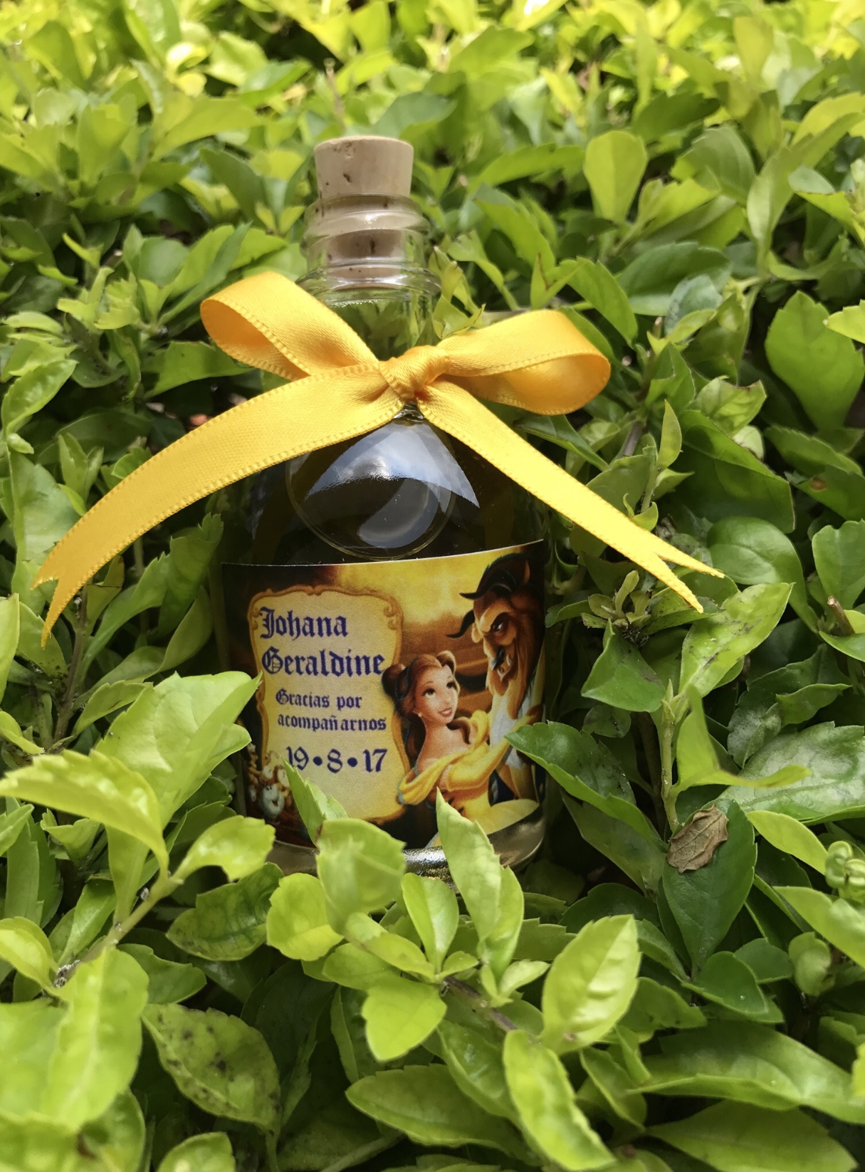 Fotografía de mini botellitas de tequila,mezcal y rompepe a de Ideas para regalar - 11534 
