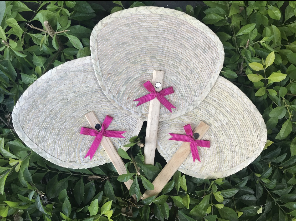 Fotografía de abanicos de palma  de Ideas para regalar - 12370 