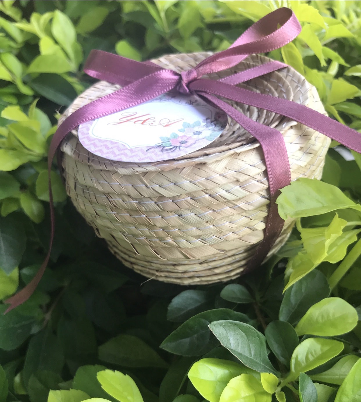 Fotografía de kit anti cruda de Ideas para regalar - 12371 