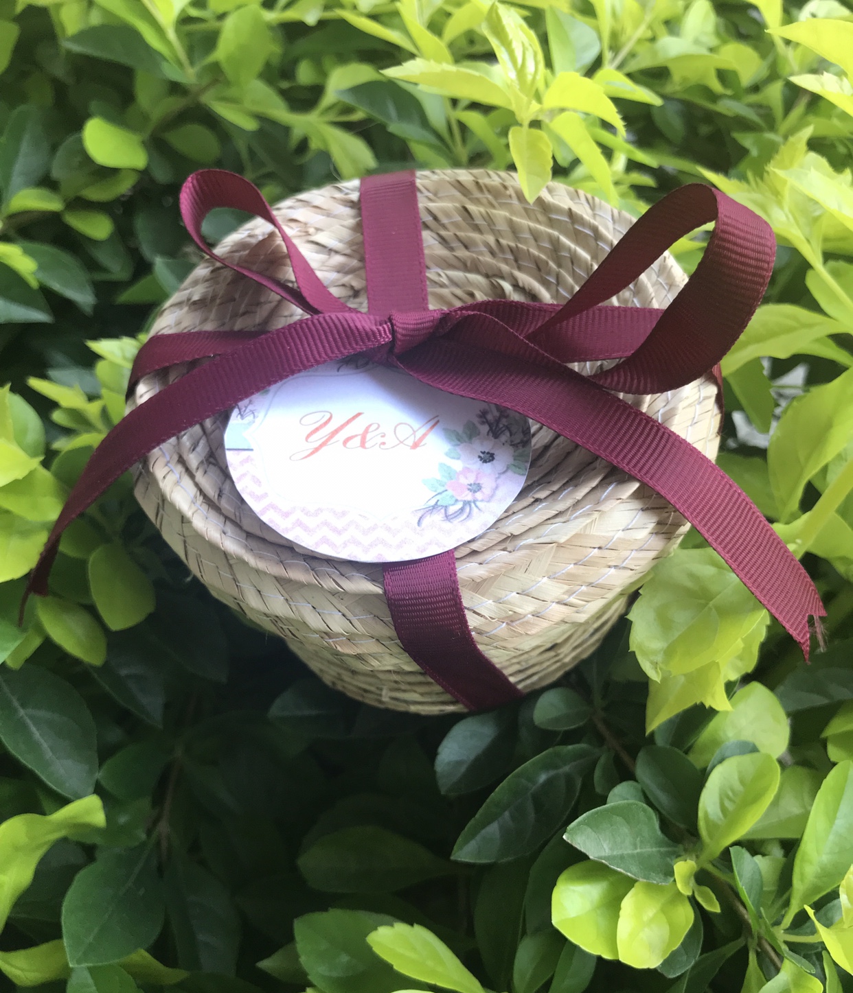 Fotografía de kit anti cruda de Ideas para regalar - 12372 