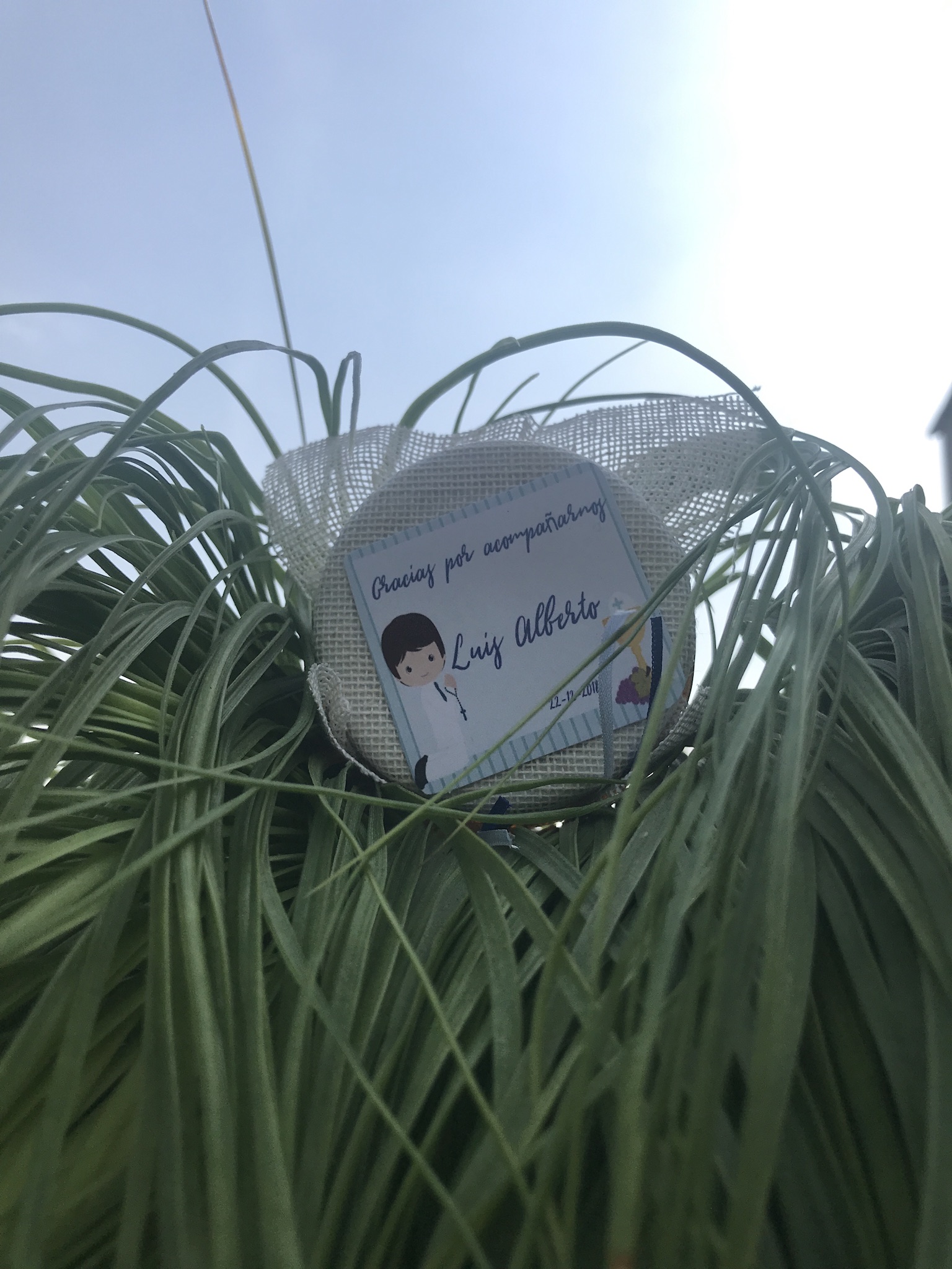 Fotografía de Tarritos de miel orgánica para tus invitados  de Ideas para regalar - 12752 