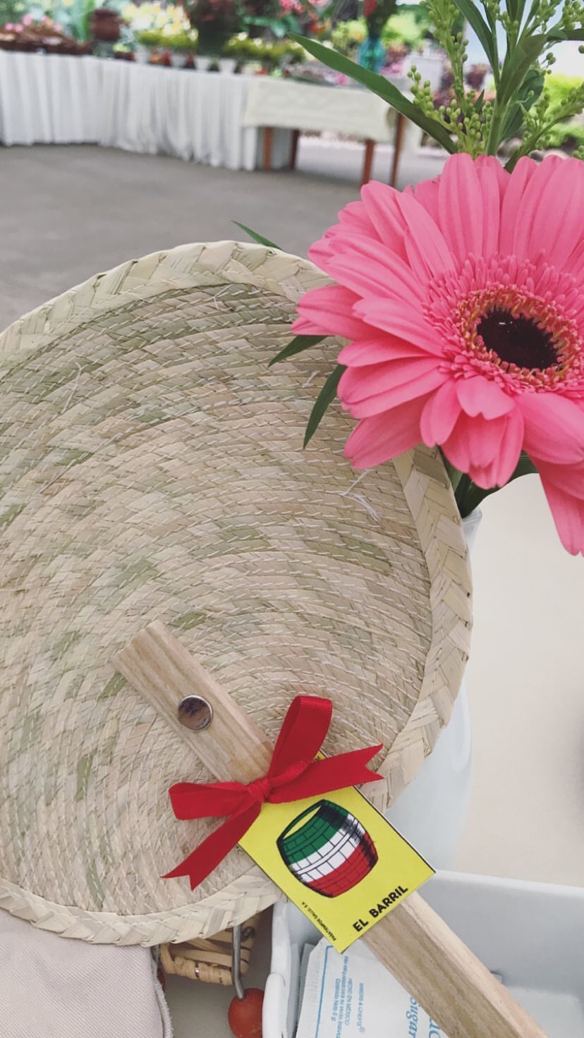 Fotografía de abanicos de palma  de Ideas para regalar - 12937 