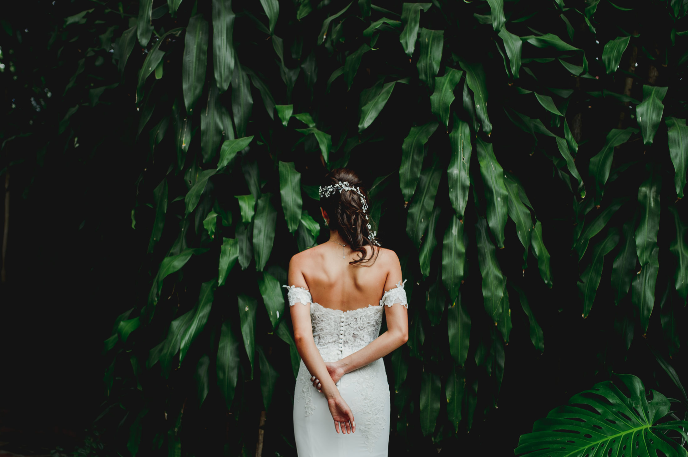 Fotografía de Weddings de Alejandro Celez - 16927 
