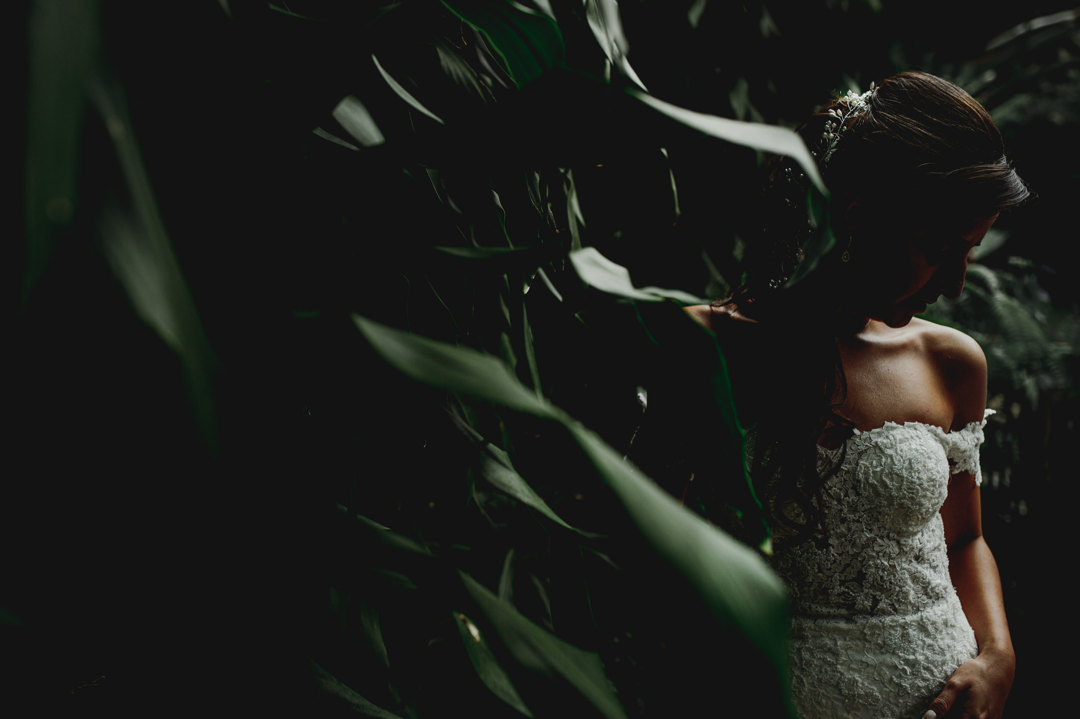 Fotografía de Weddings de Alejandro Celez - 16951 
