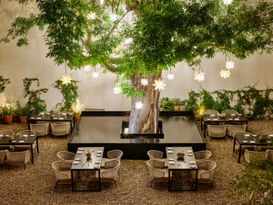 Fotografía de HOTEL de Live Aqua San Miguel de Allende - 21538 