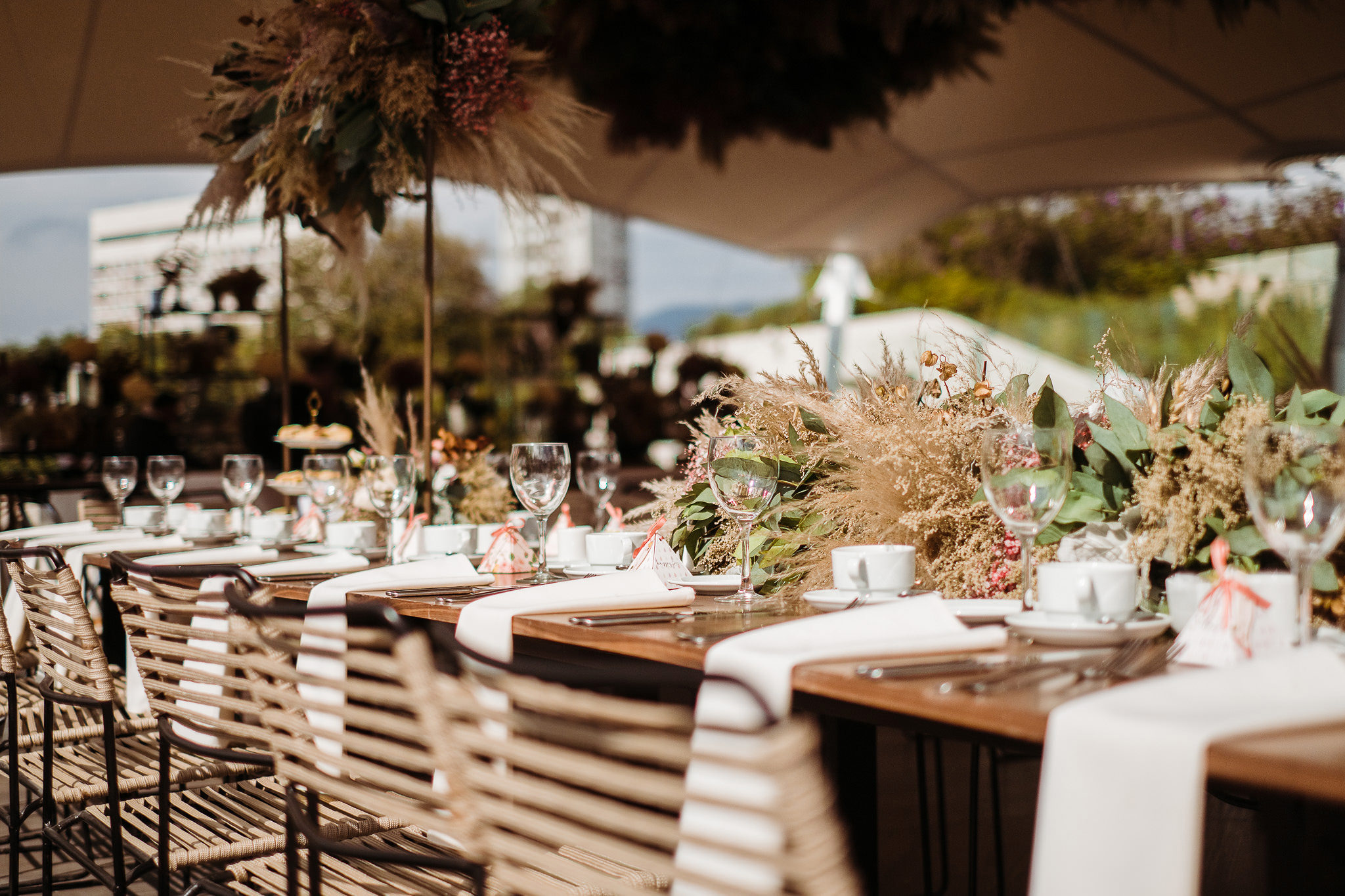Fotografía de ARIELA TEVILAH de Lina Florez - 24351 