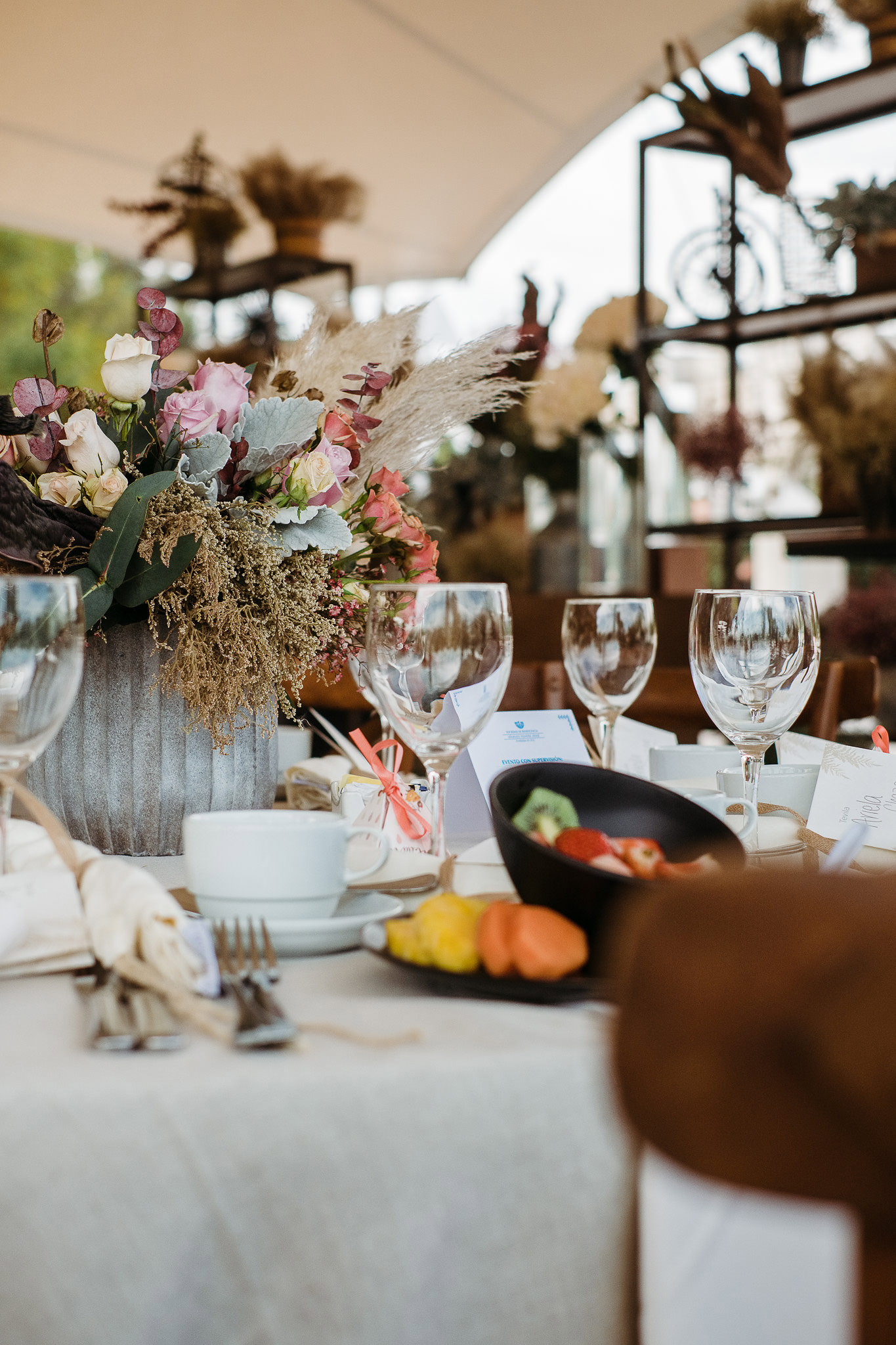 Fotografía de ARIELA TEVILAH de Lina Florez - 24355 