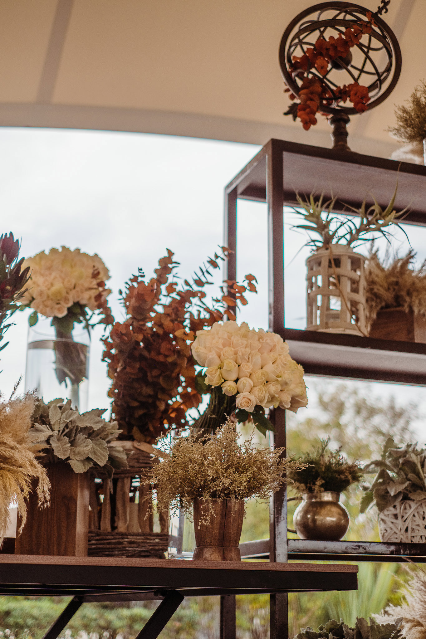 Fotografía de ARIELA TEVILAH de Lina Florez - 24389 