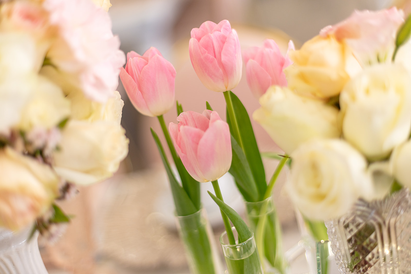 Fotografía de Montaje rosado de Lina Florez - 25236 