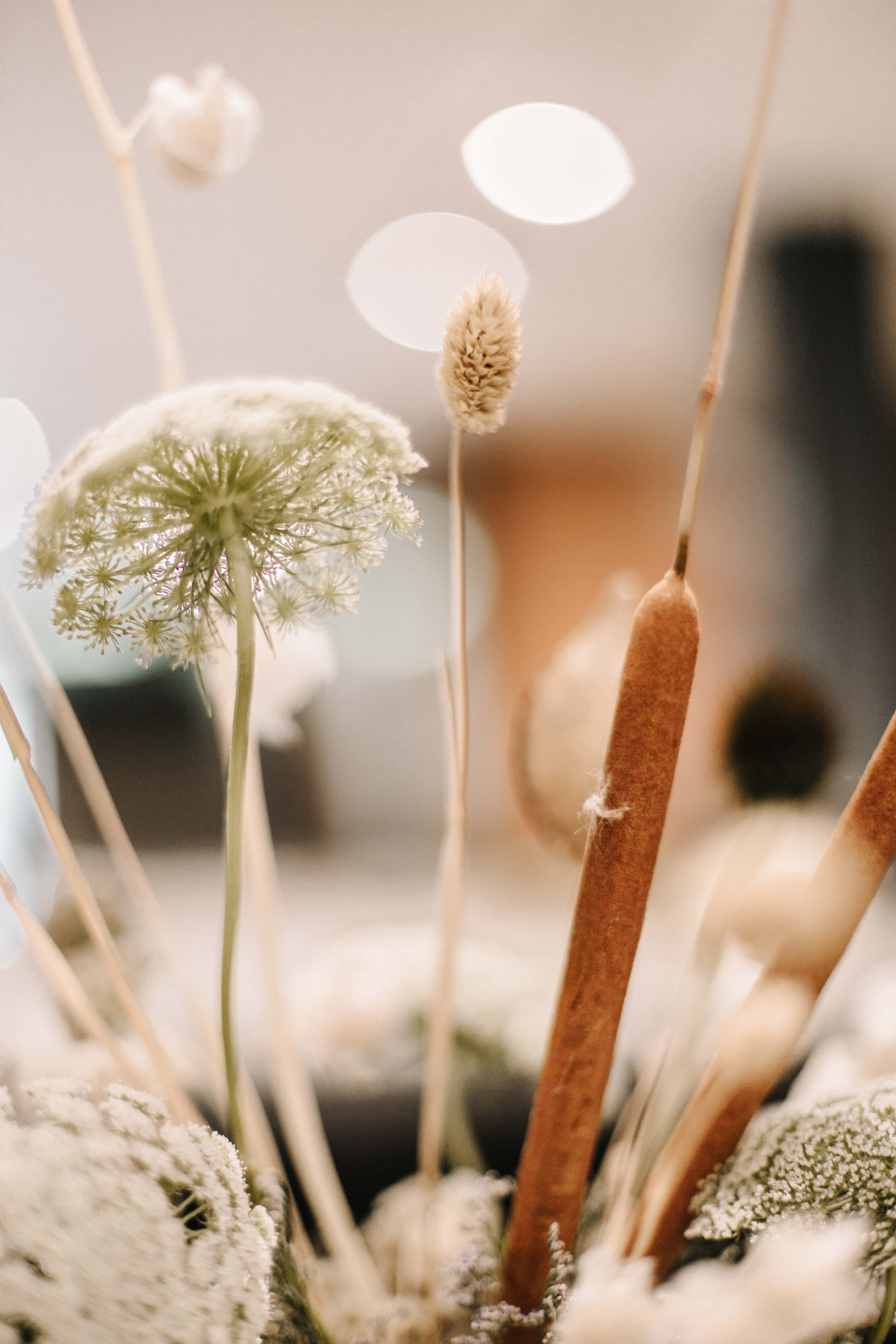 Fotografía de Detalles de Taller Olivo - 31519 