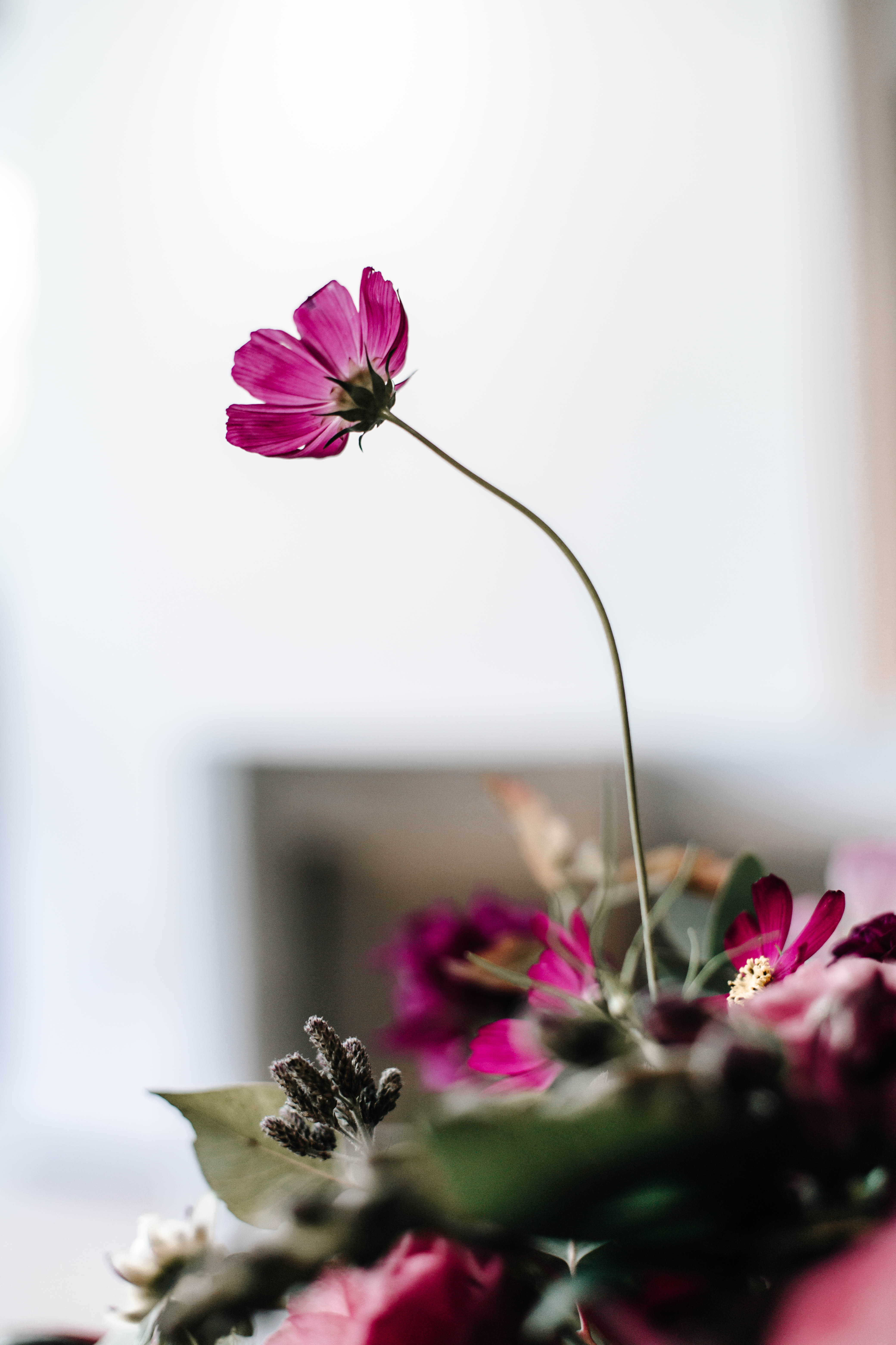 Fotografía de Detalles de Taller Olivo - 31521 