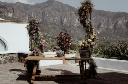 Fotografía de FLY ME TO THE MOON de Las Flores de Tremenda - 33989 