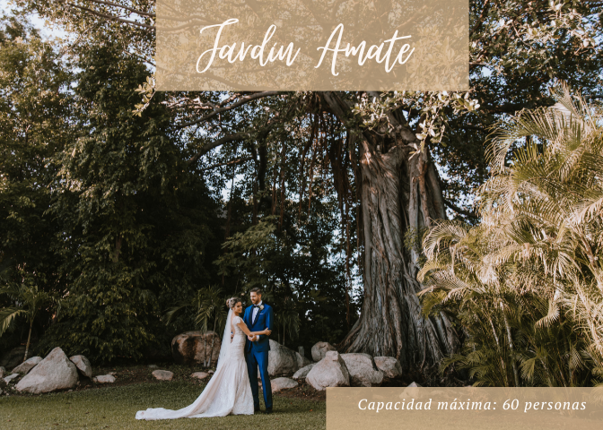Fotografía de Venues de Banyan Tree Cabo Marques - 34373 