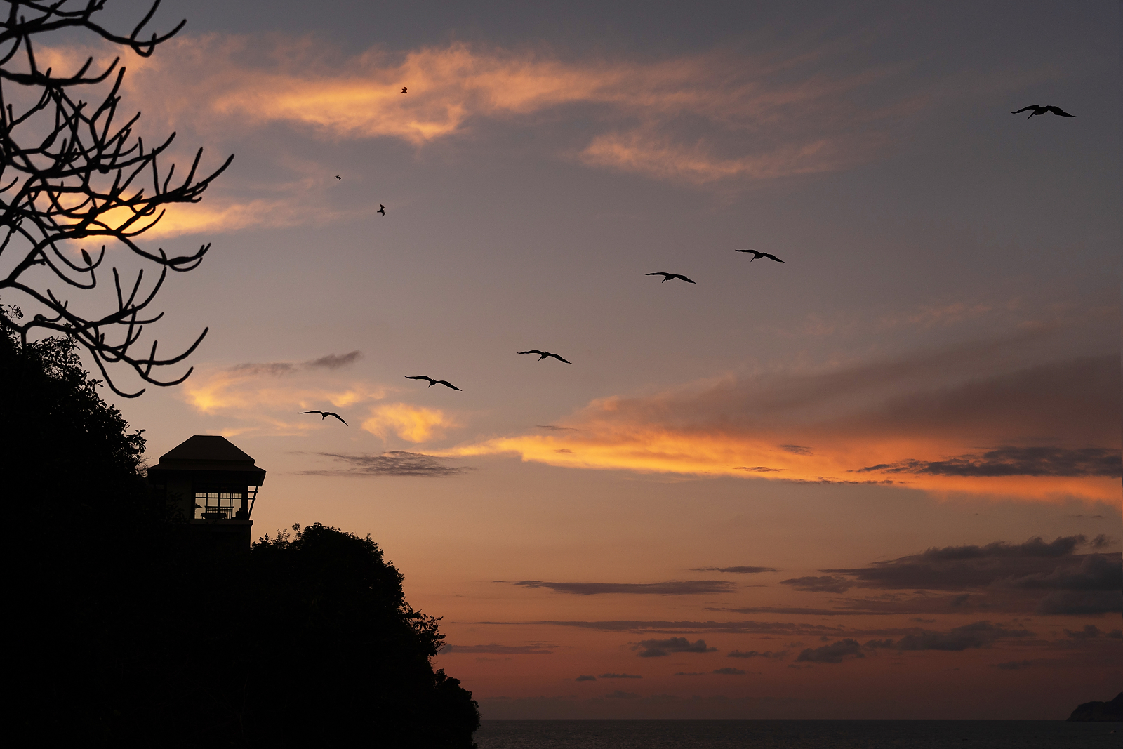 Fotografía de Hotel Banyan Tree Cabo Marques de Banyan Tree Cabo Marques - 34376 