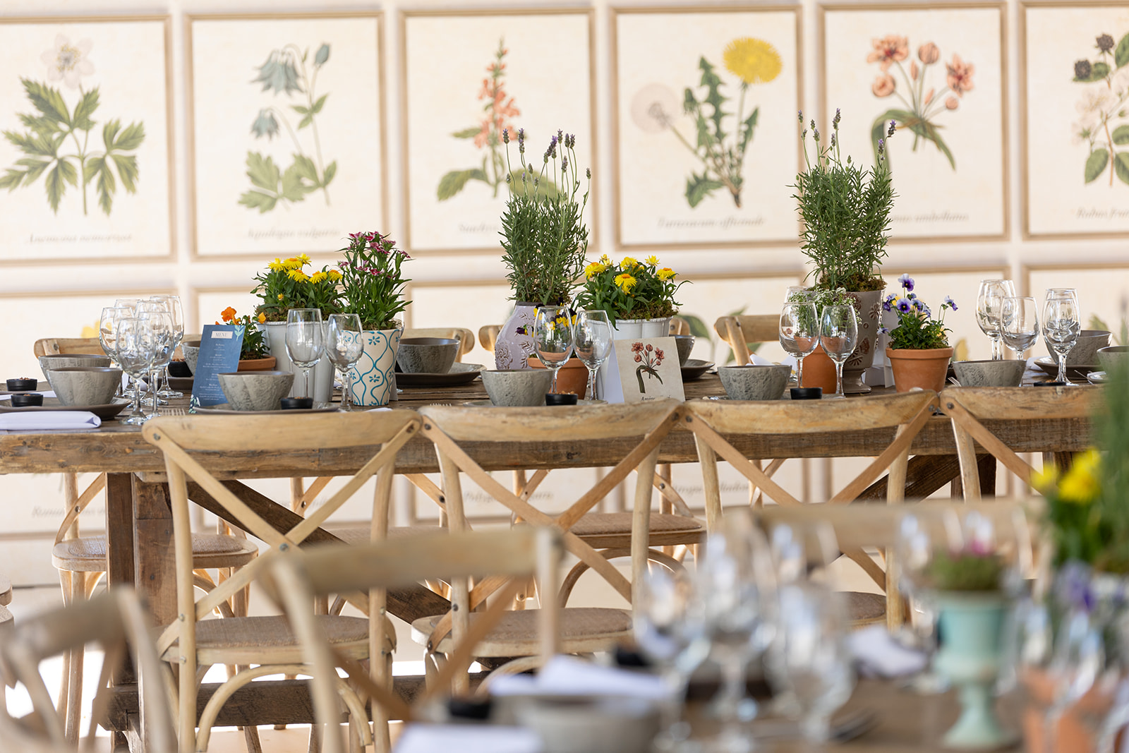 Fotografía de PRIMAVERA de Banquetes Vicky Cherem - 34747 