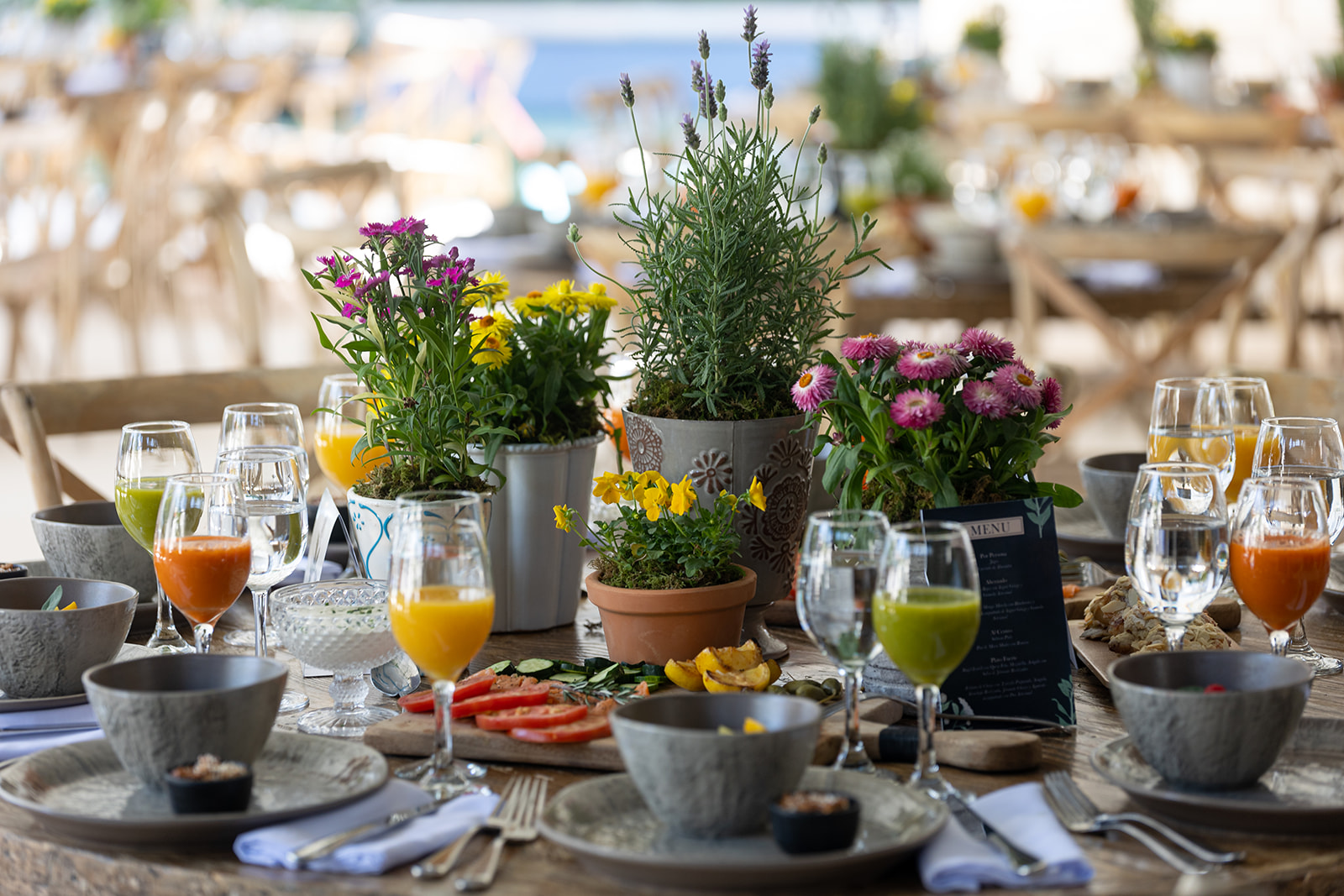 Fotografía de PRIMAVERA de Banquetes Vicky Cherem - 34750 