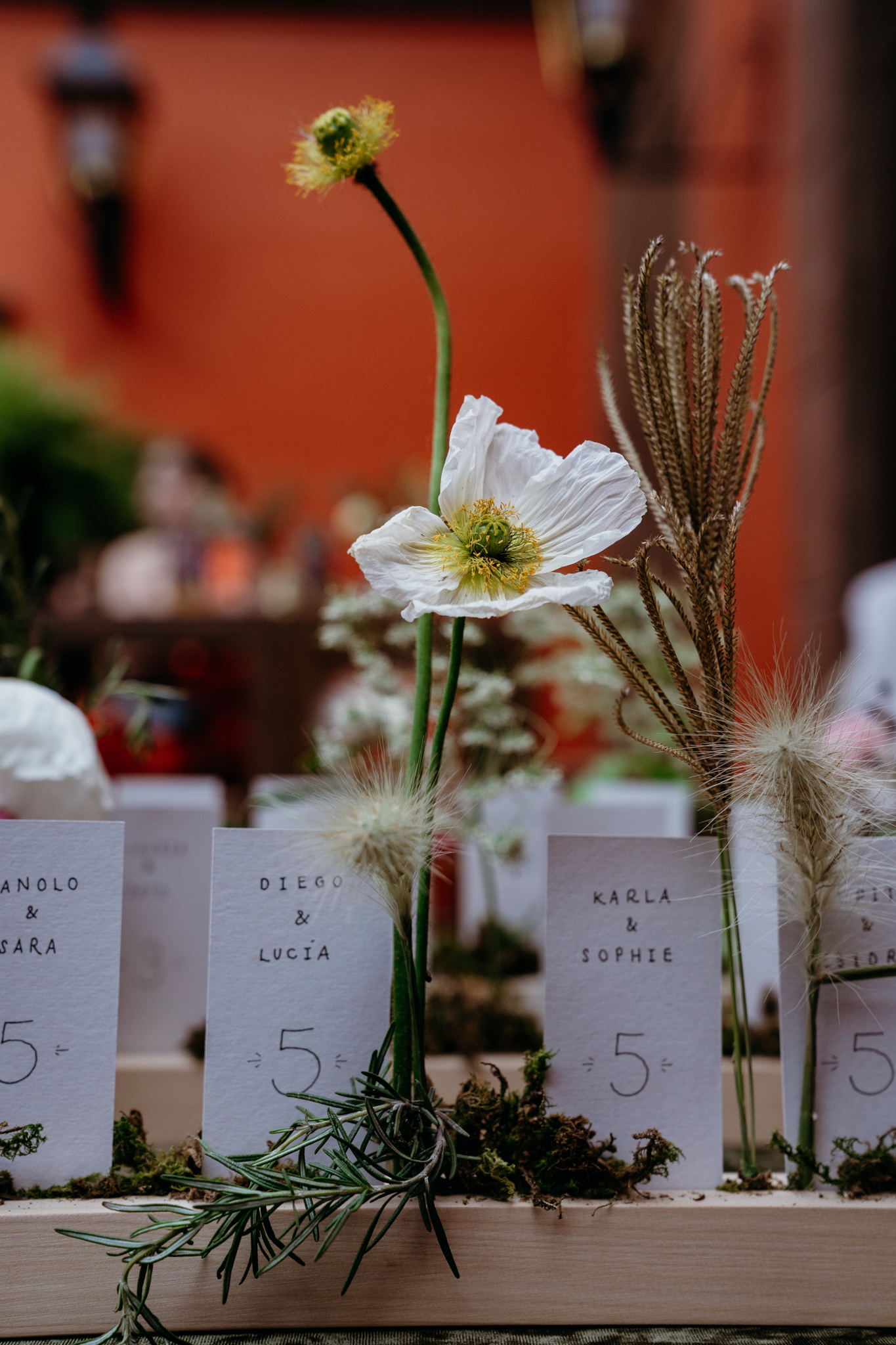Fotografía de Lau y Adrían de Karla Arroyo Event Architect - 37298 
