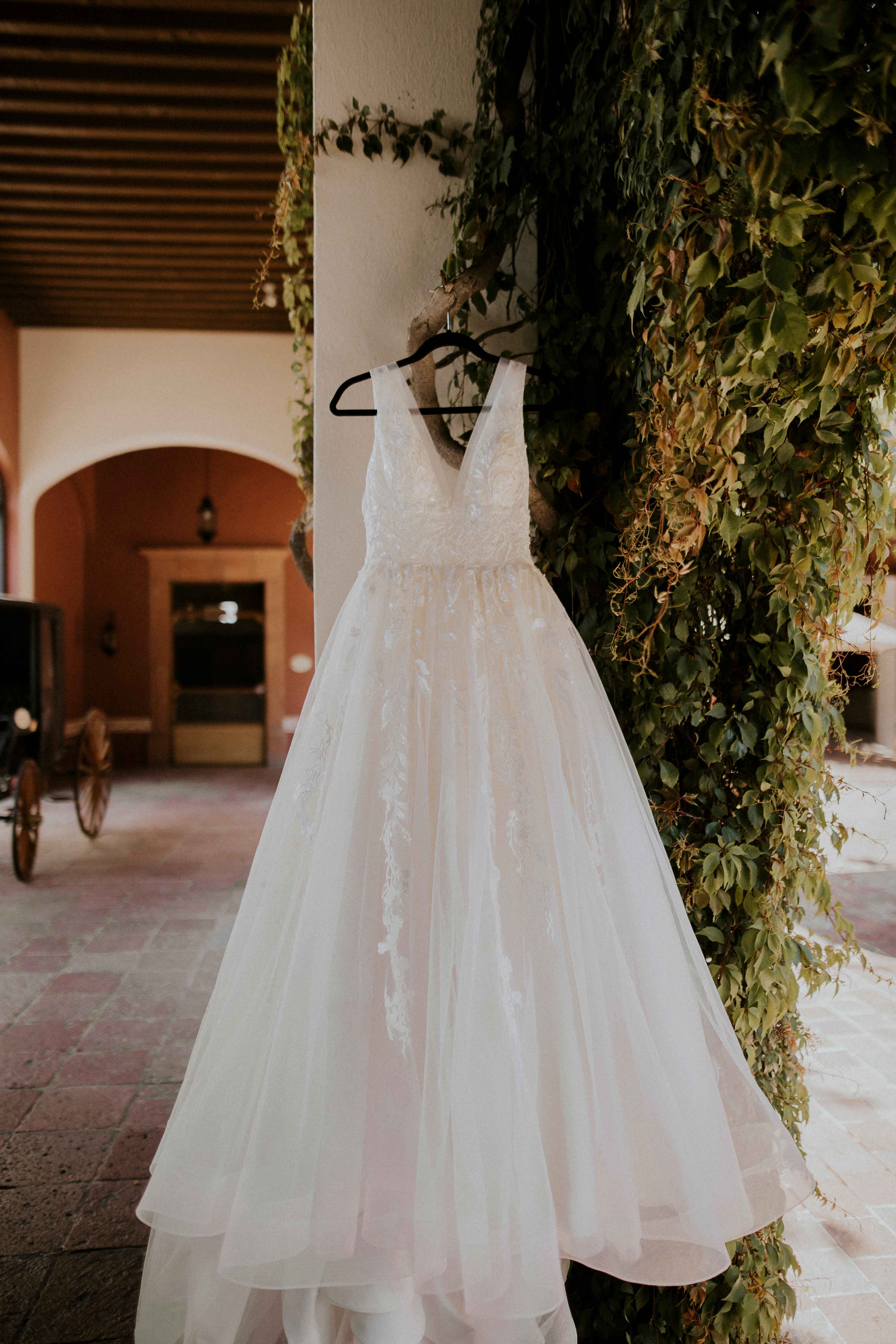 Fotografía de D&P de The Girls Of Honor - 38747 
