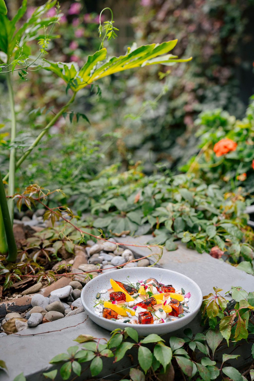 Fotografía de BANQUETES de Four Seasons - 40644 
