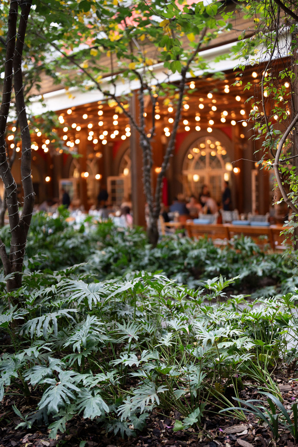 Fotografía de BANQUETES de Four Seasons - 40648 