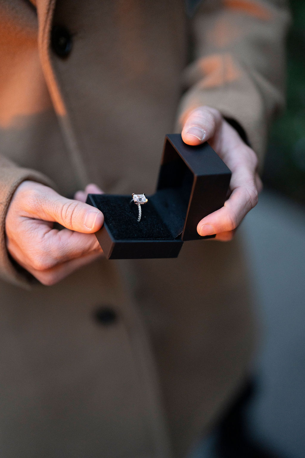Fotografía de PROPOSAL de Four Seasons - 40653 
