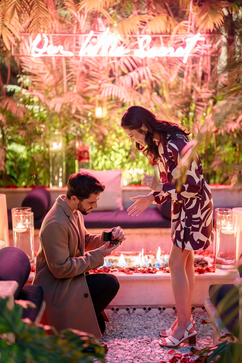 Fotografía de PROPOSAL de Four Seasons - 40661 