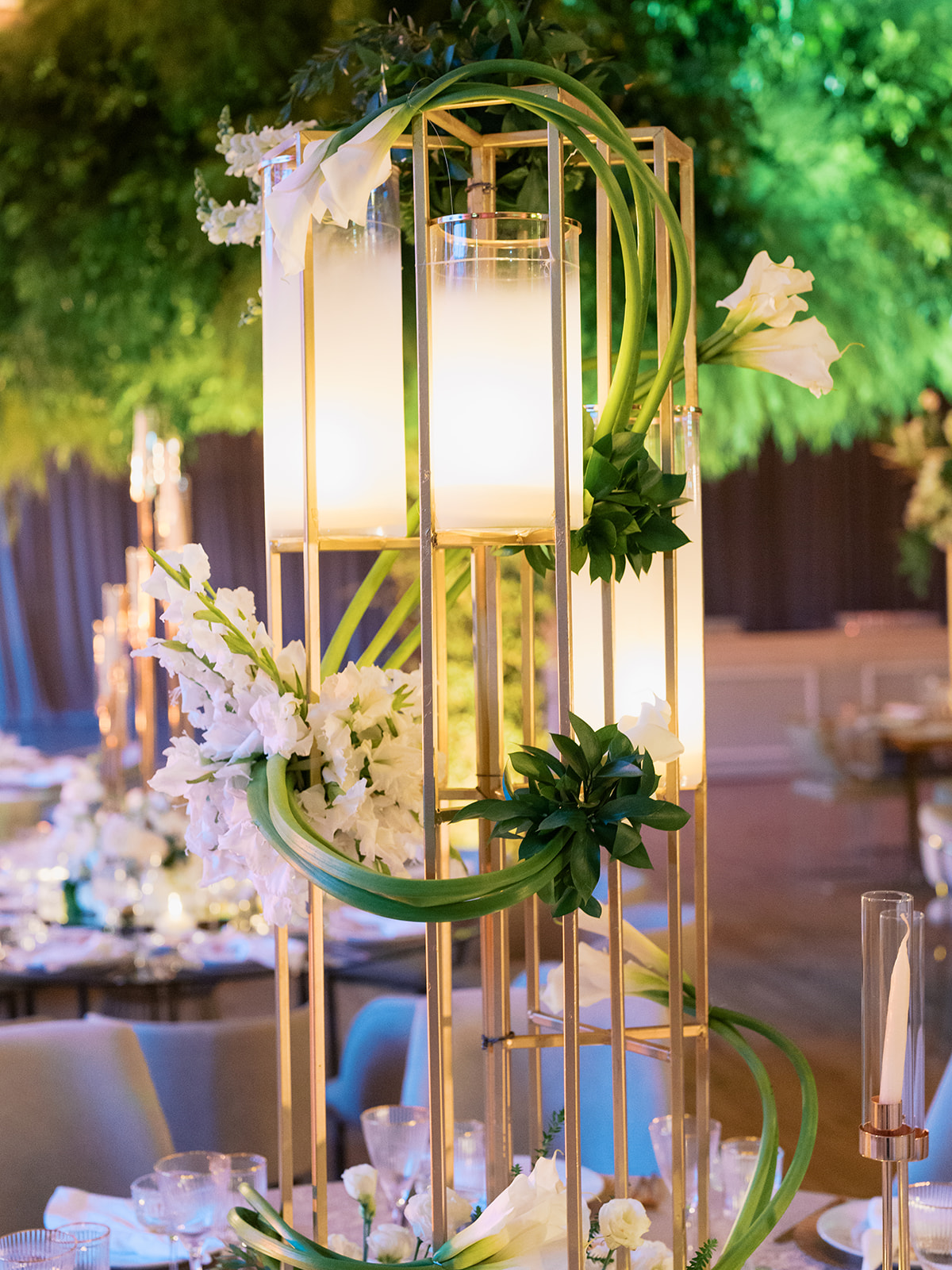 Fotografía de Catherine + Mitchell de Krea - 47777 