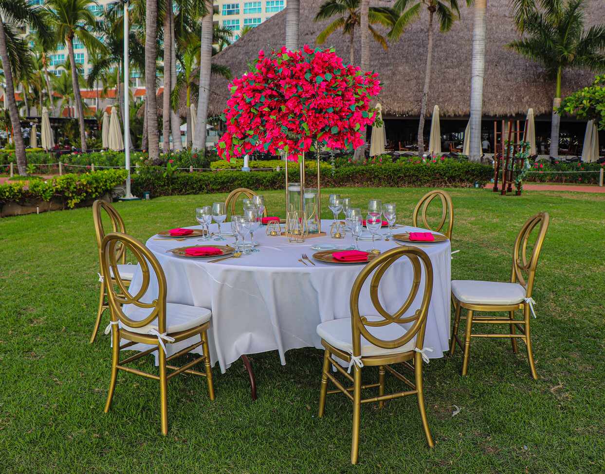 Fotografía de RECEPCIONES de Sheraton Buganvilias Resort & Convention Center - 47919 