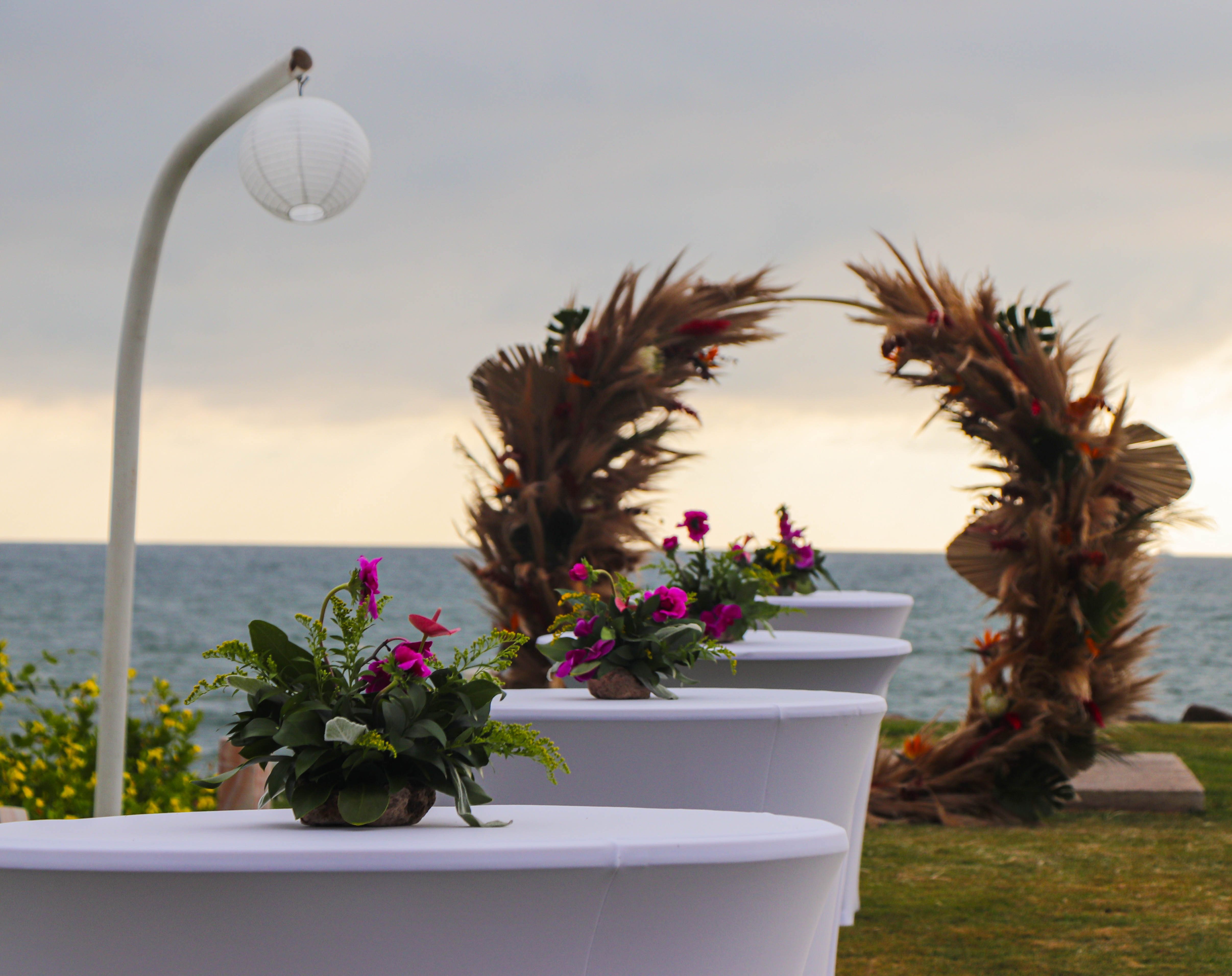 Fotografía de CEREMONIAS de Sheraton Buganvilias Resort & Convention Center - 47945 