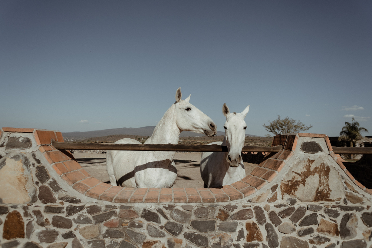 Fotografía de BIJOU &  LEO: Western Wedding de Ht Planner - 48141 