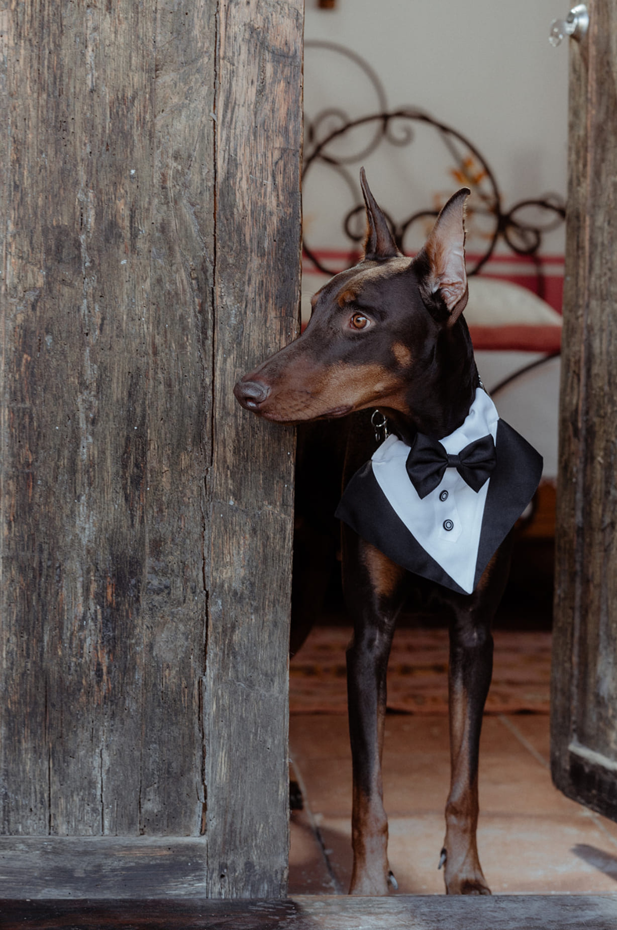 Fotografía de BIJOU &  LEO: Western Wedding de Ht Planner - 48163 