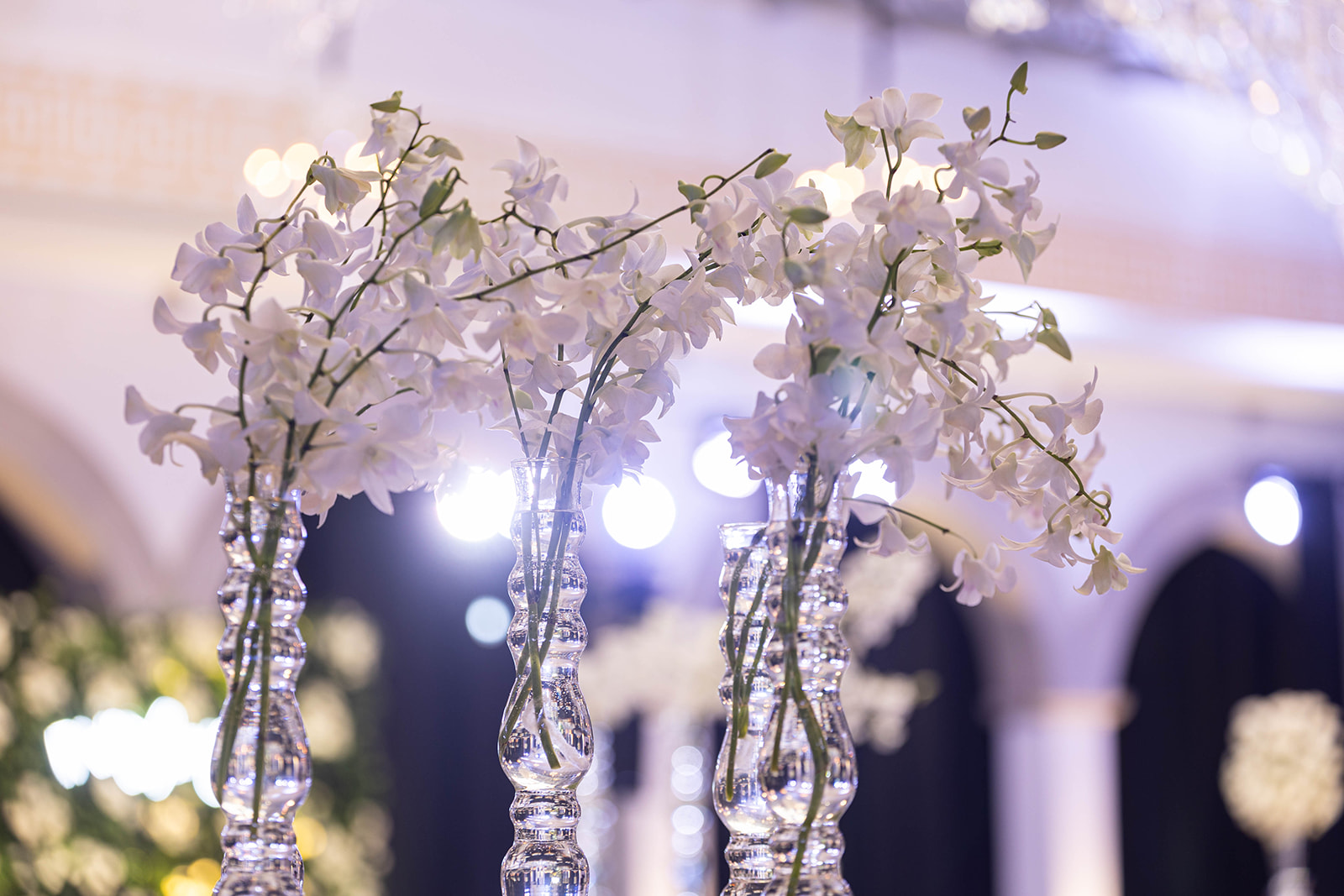 Fotografía de EVENTO 4 de Alazraki Eventos - 48388 