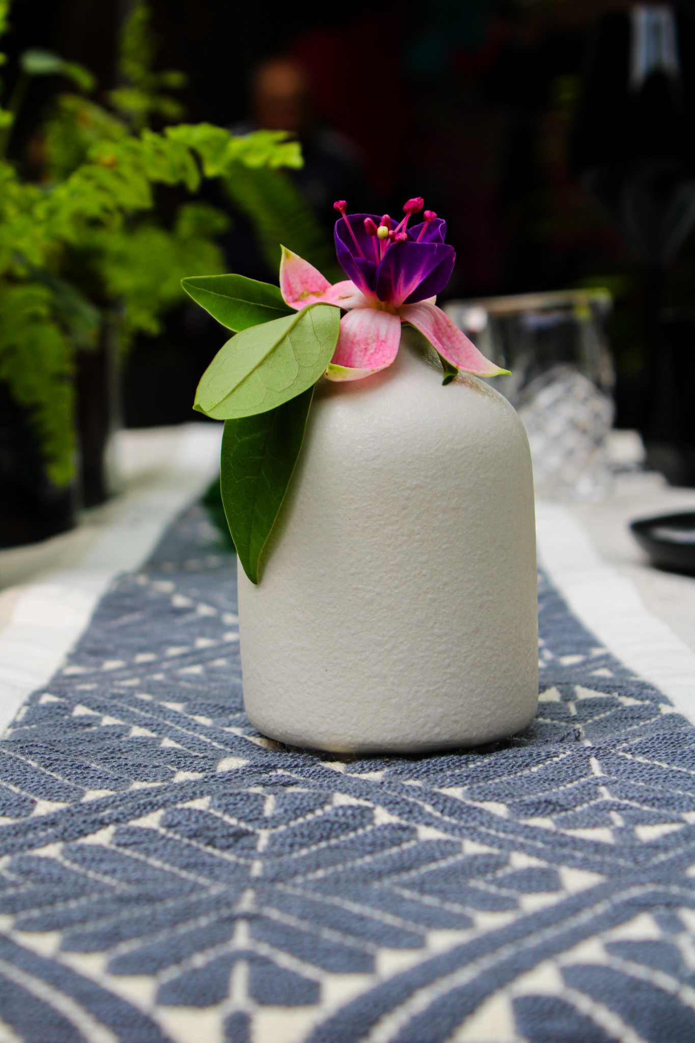 Fotografía de MEXICAN CHIC de Rent & Company - 48636 