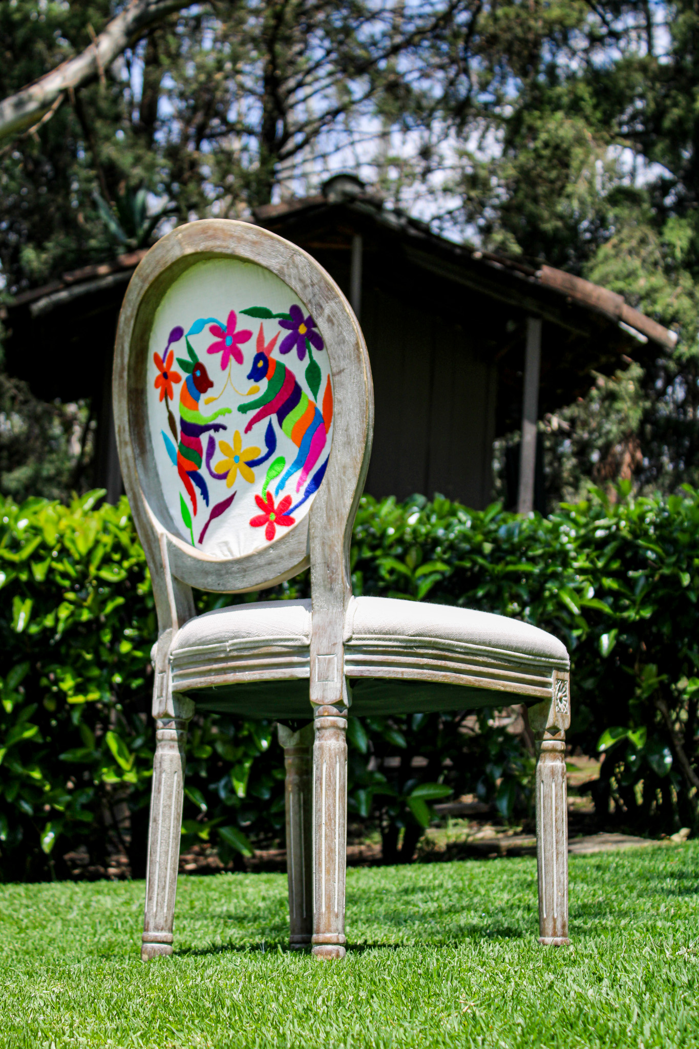 Fotografía de MEXICAN CHIC de Rent & Company - 48650 