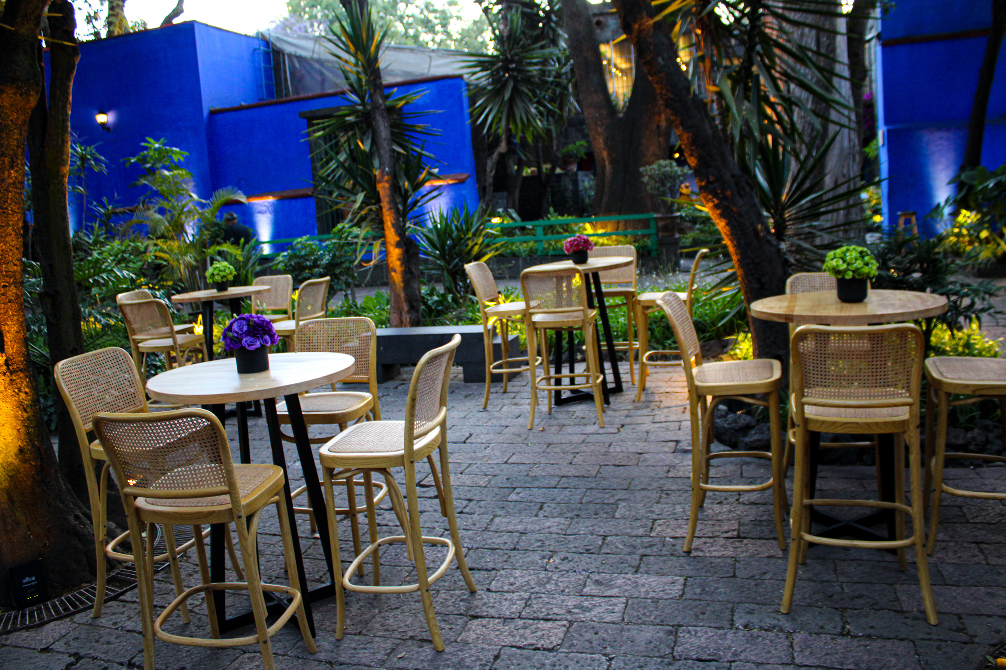 Fotografía de LOUNGE BAR de Rent & Company - 48730 