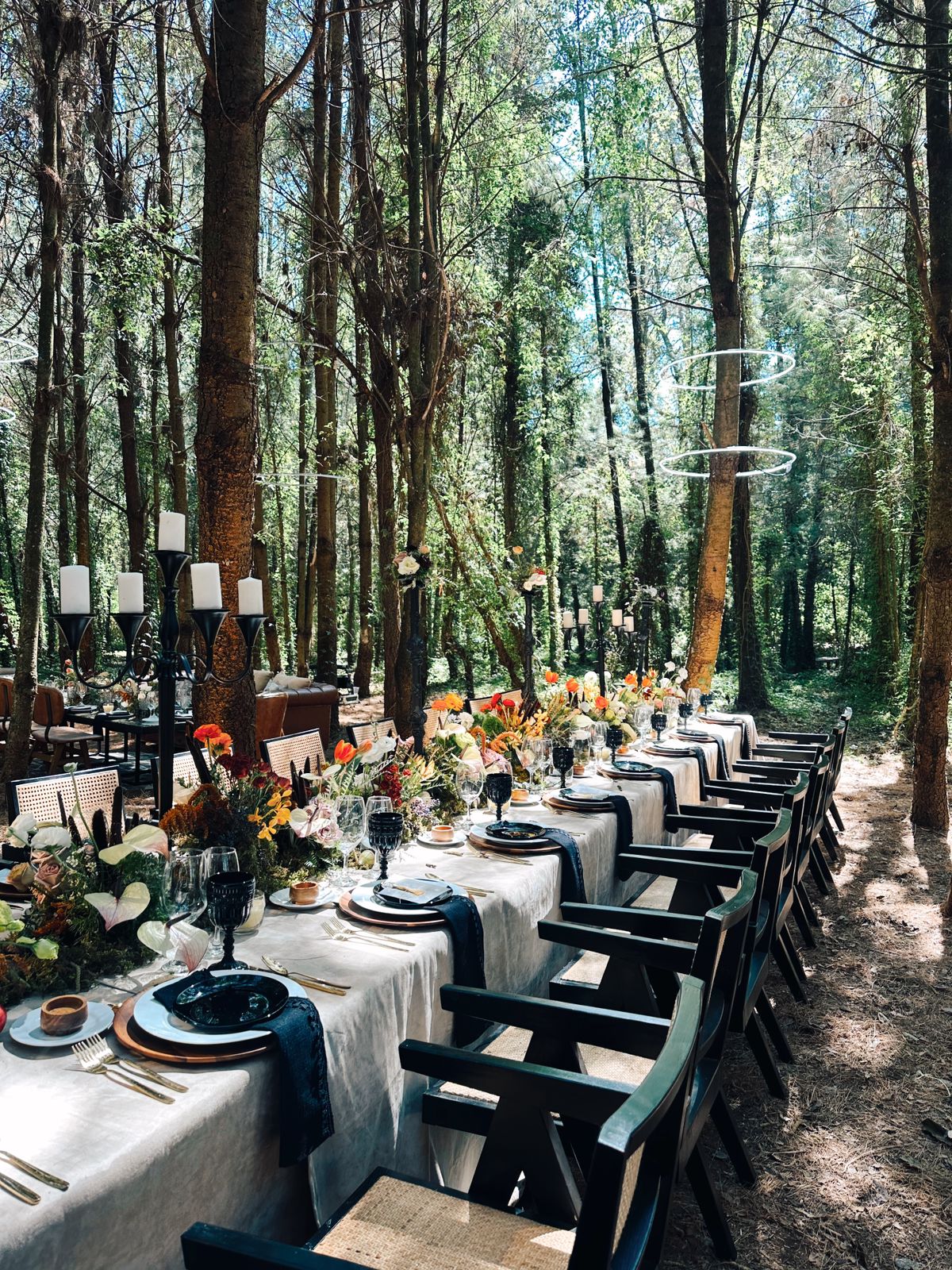 Fotografía de ETERNAL LOVE de Rent & Company - 48748 