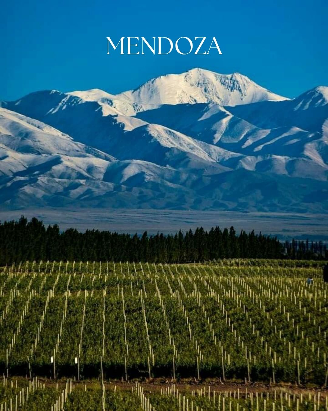 Fotografía de PATAGONIA de Velaré Travel & Concierge - 48852 