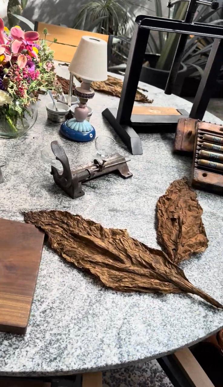 Fotografía de EVENTOS de Lieb - 49143 