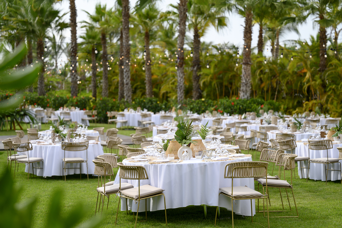 Fotografía de TOP 15 de Conrad Punta de Mita - 49197 