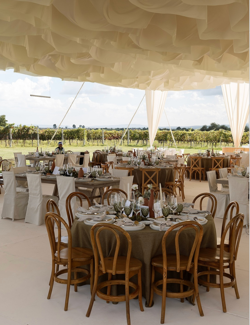 Fotografía de Galer&iacute;a de Rigoberto Herrera Fot&oacute;grafo  - 49319 