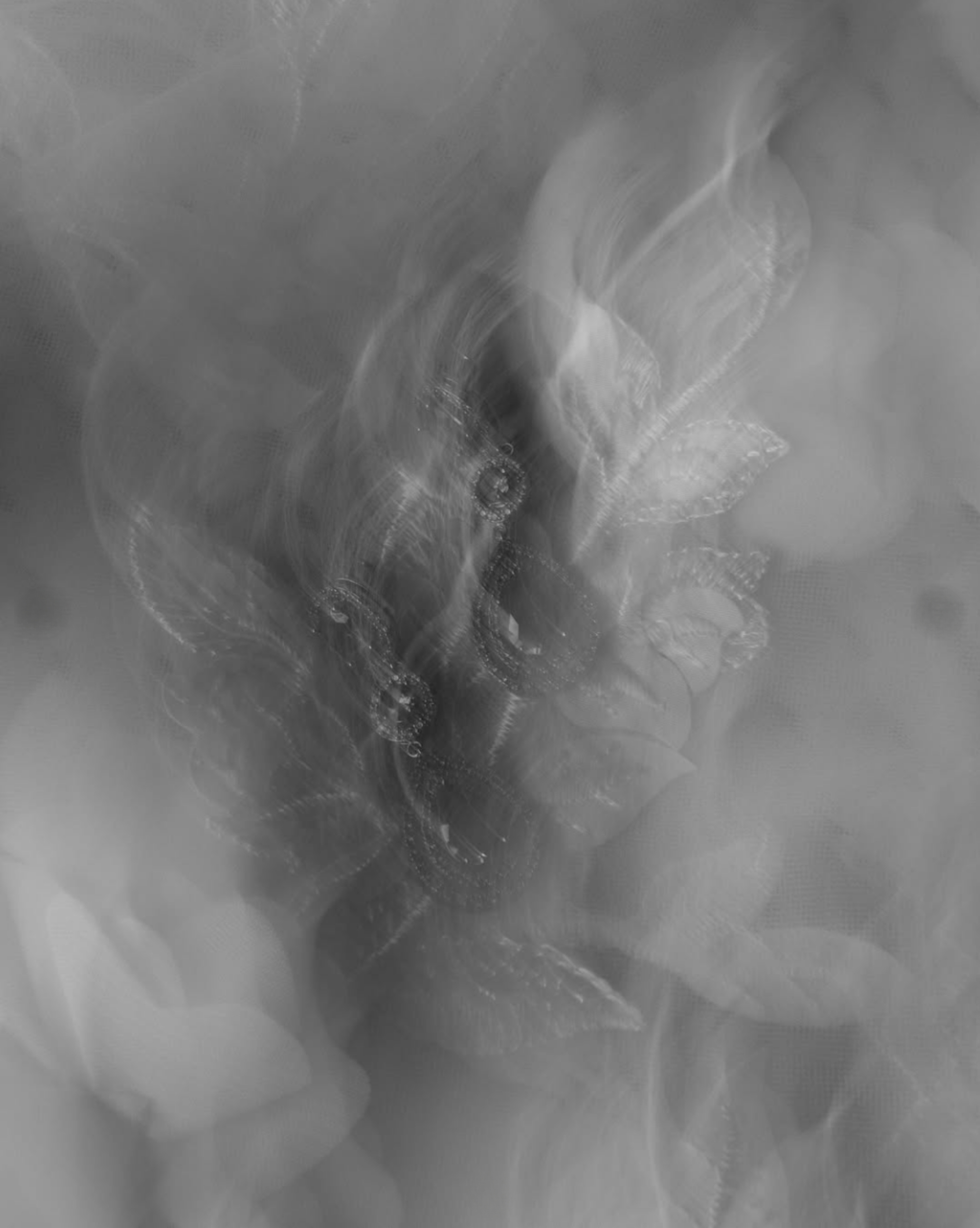 Fotografía de Galer&iacute;a 2 de Rigoberto Herrera Fot&oacute;grafo  - 49323 