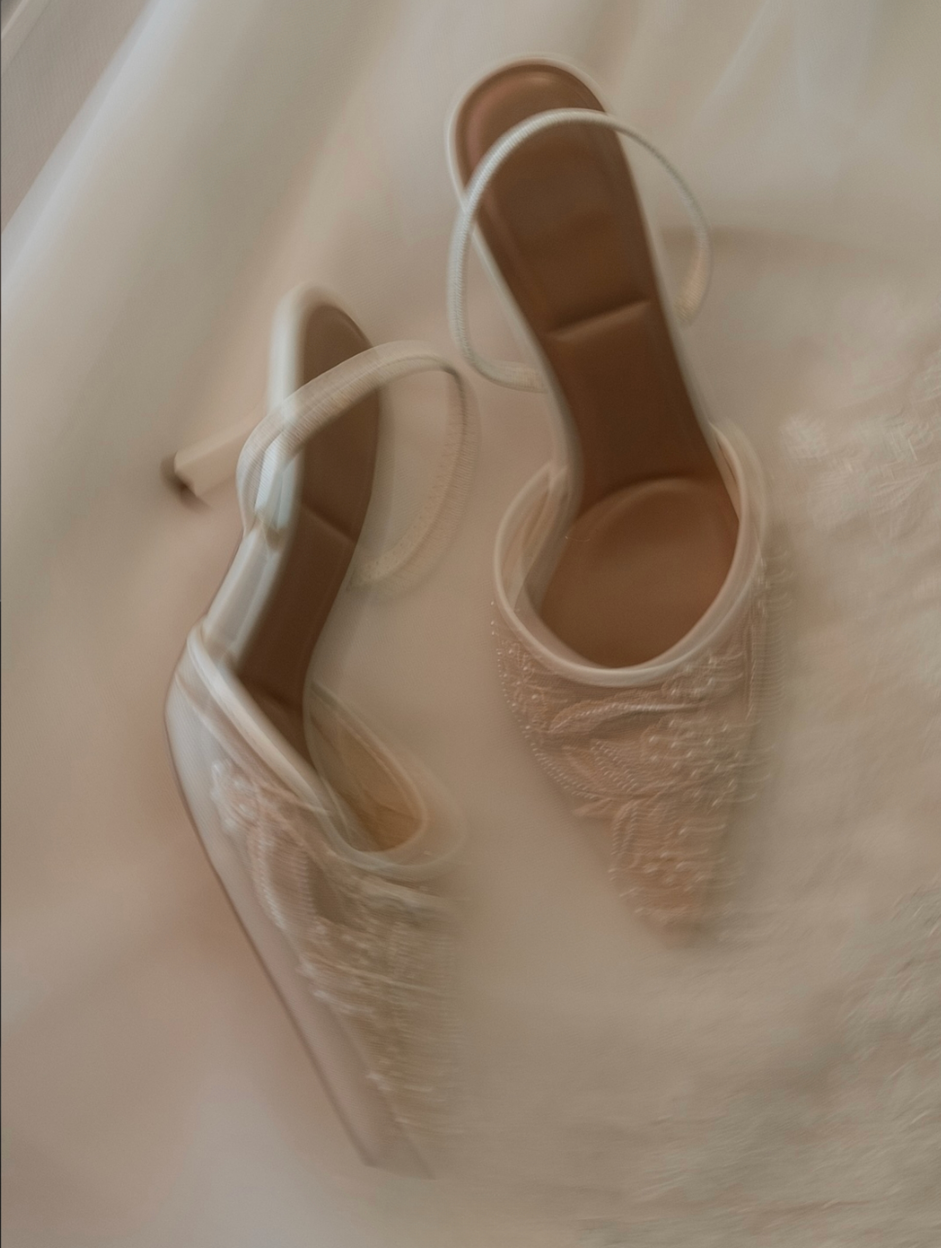 Fotografía de Galer&iacute;a 2 de Rigoberto Herrera Fot&oacute;grafo  - 49324 