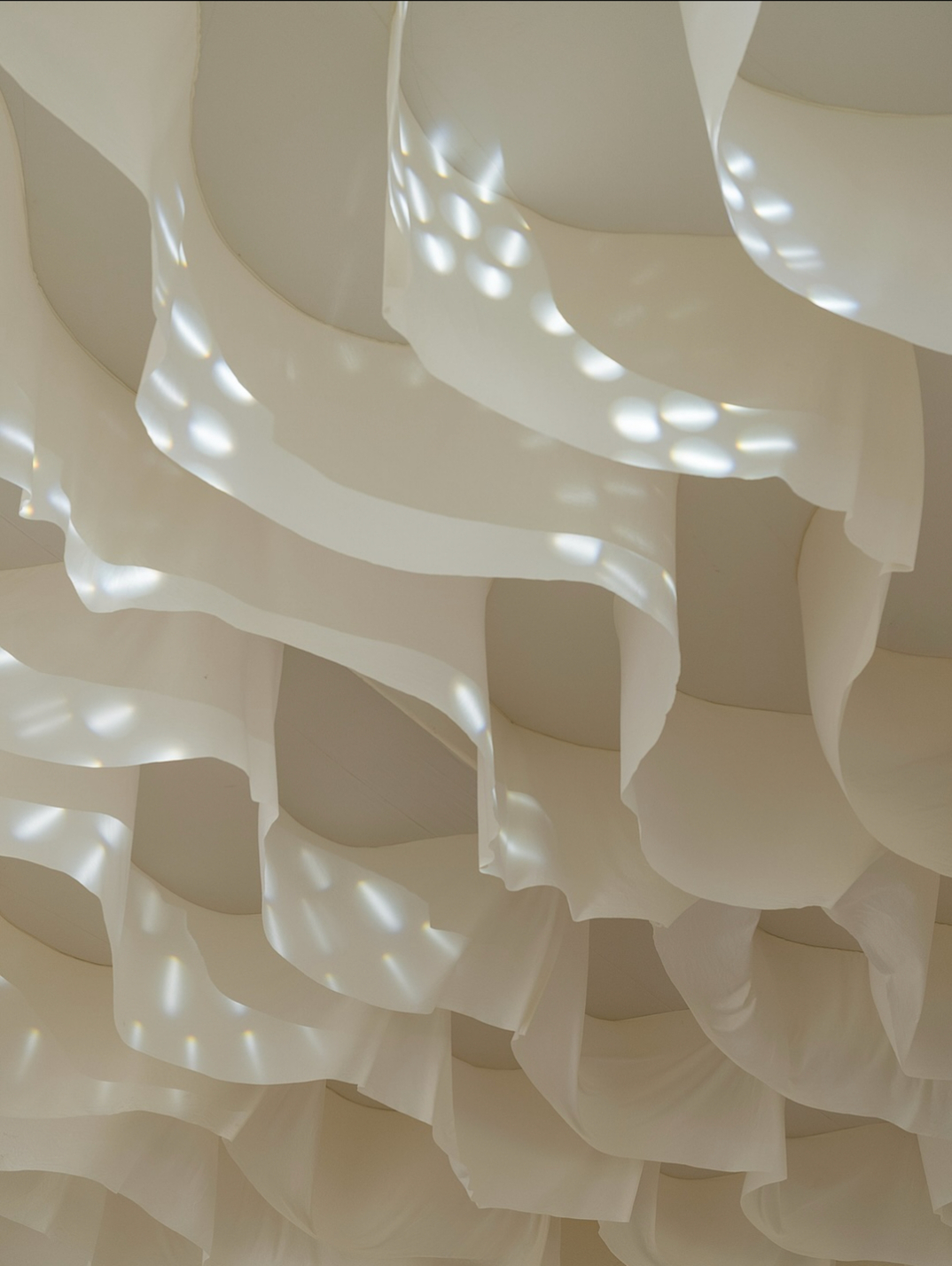 Fotografía de Galer&iacute;a 2 de Rigoberto Herrera Fot&oacute;grafo  - 49327 