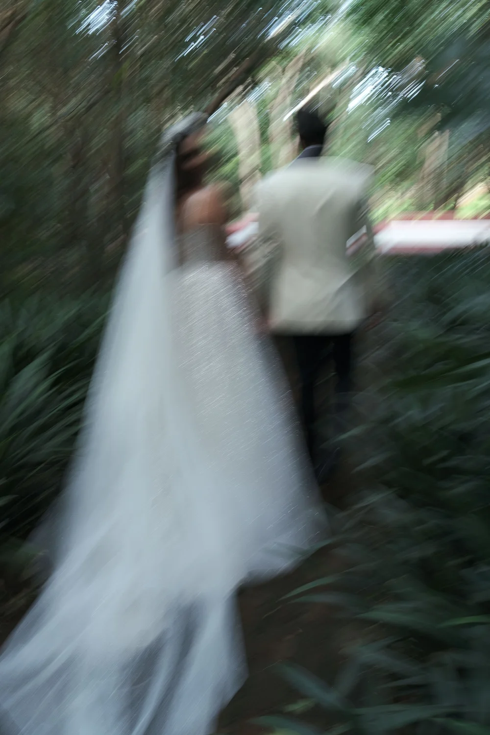 Fotografía de Galer&iacute;a 3 de Rigoberto Herrera Fot&oacute;grafo  - 49335 