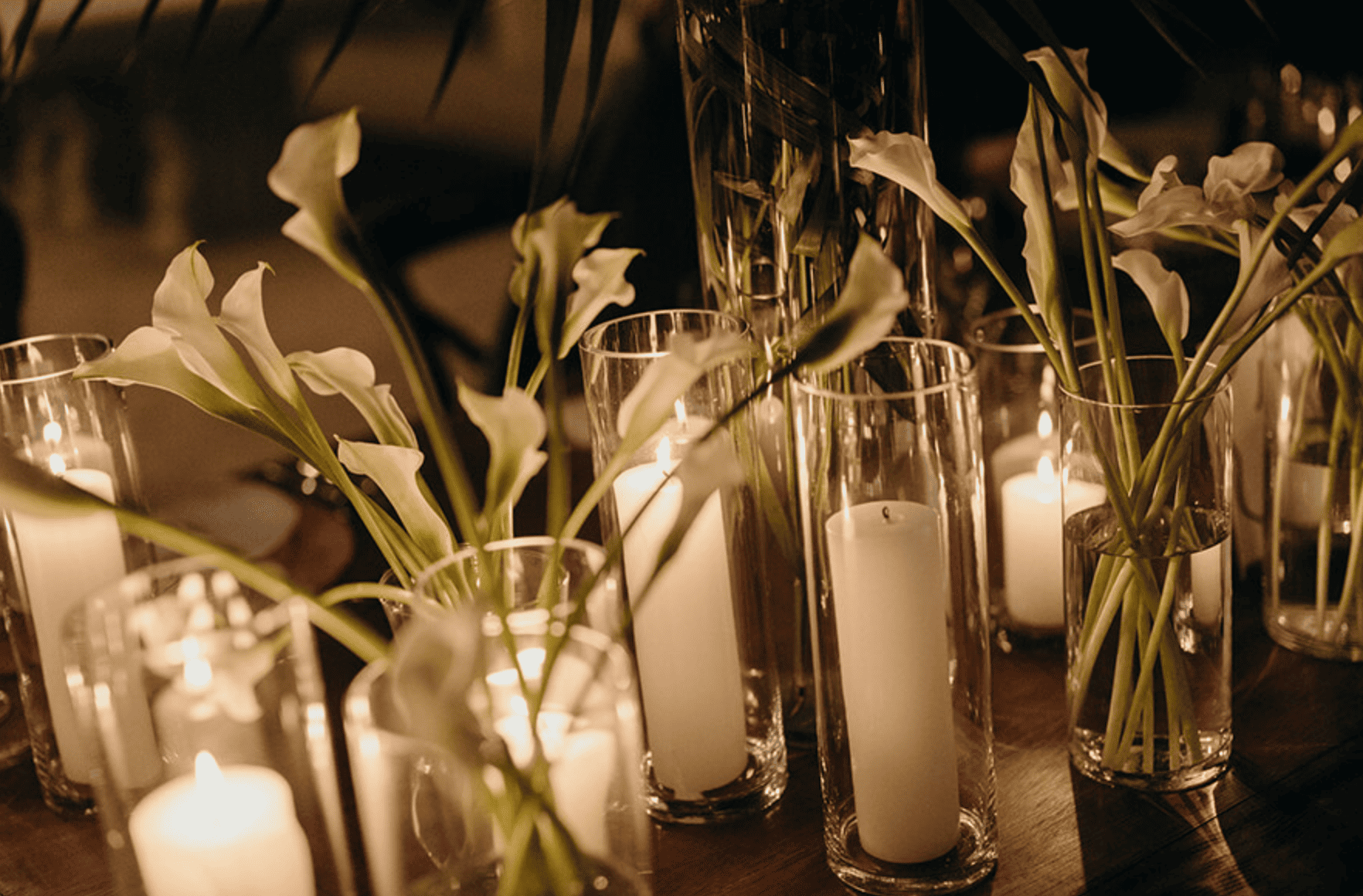 Fotografía de Sydney & Cory de Paula Events - 49550 