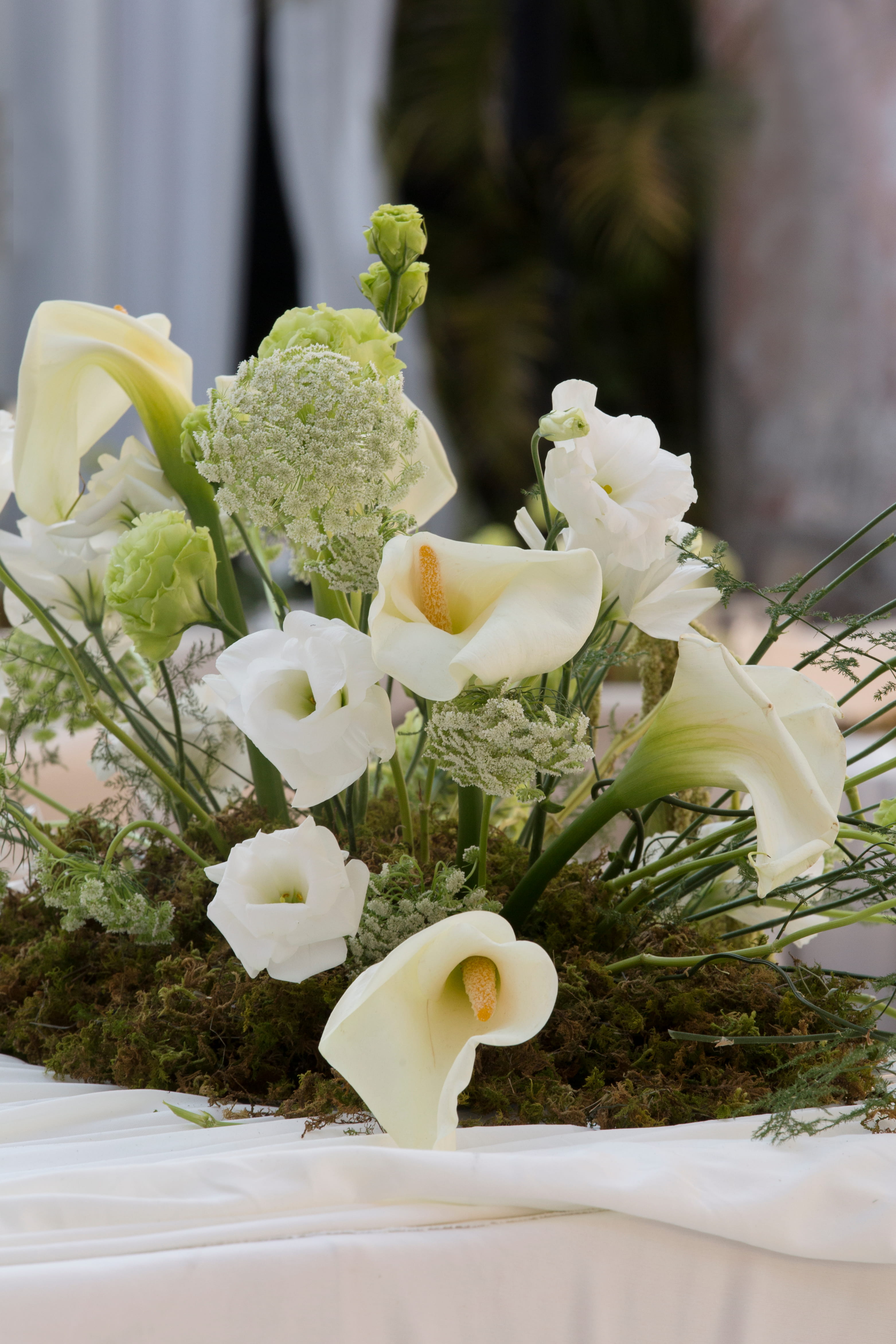 Fotografía de Fernanda&Daniel de Albaricoque Atelier Floral - 49754 