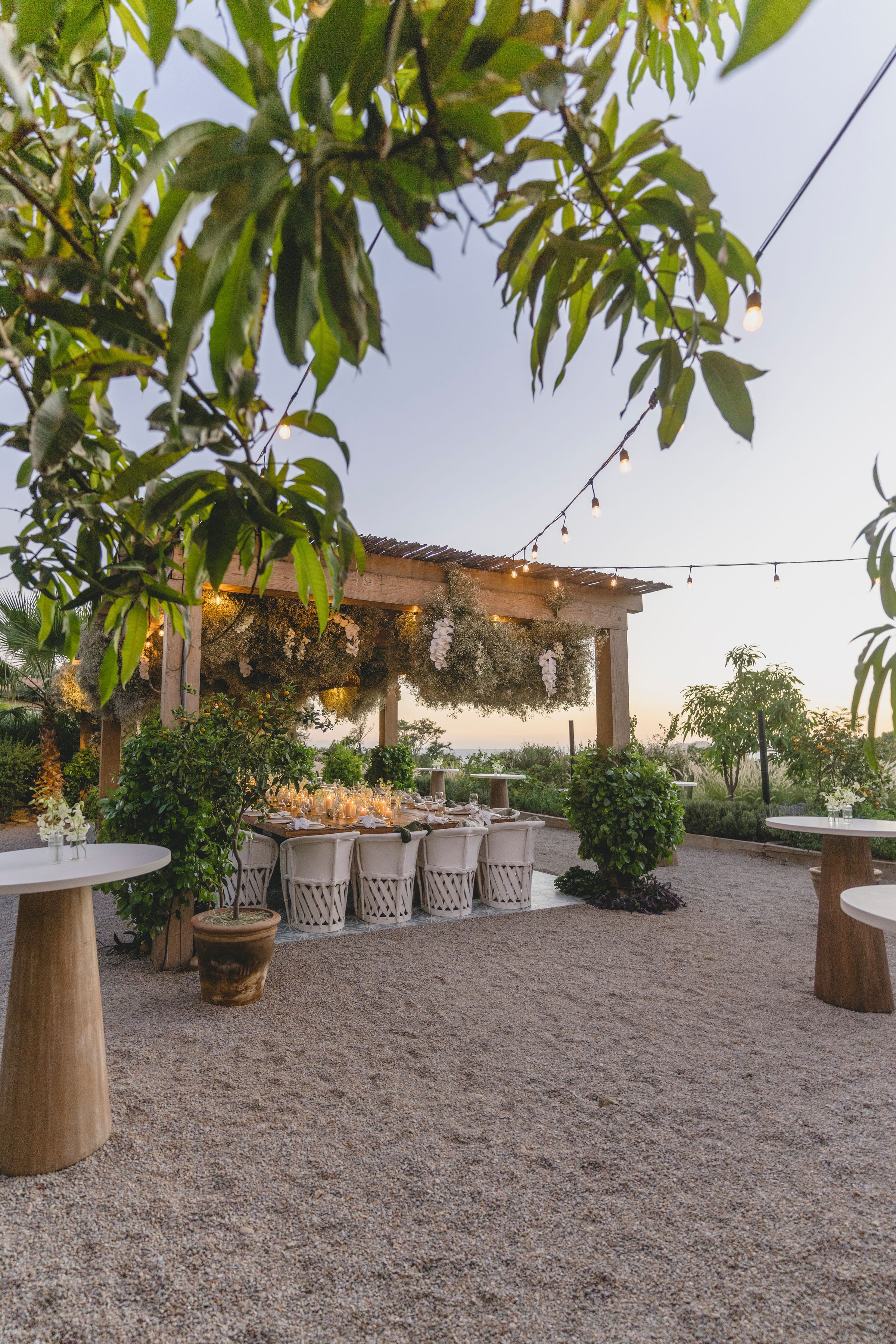 Fotografía de La P&eacute;rgola de Zad&uacute;n, a Ritz-Carlton Reserve - 49909 